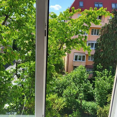 Apartament Florilor 바이아마레 외부 사진